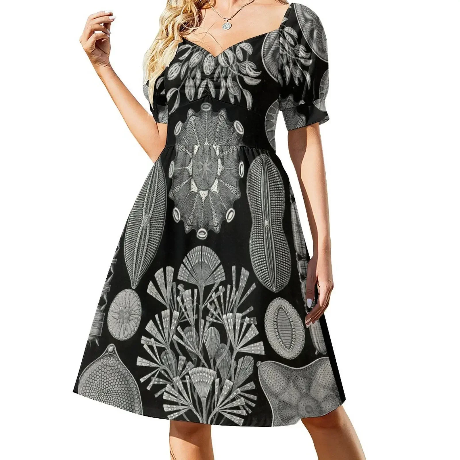 Diatomea (Diatom - Microorganisms) - Ernst Haeckel Sleeveless Dress dress summer long dress women Woman fashion
Diatomea (Diatom - Microorganisms) - Ernst Haeckel Sleeveless Dress dress summer long dress women Woman fashion