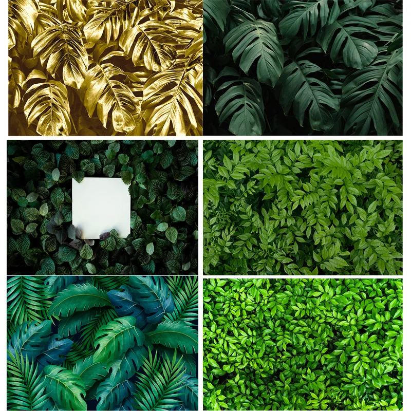 Gold Leaves Tropical Plants Photography Backdrops Props Rainforest Plants Green Wall Newborn Birthday Party Studio Background
Gold Leaves Tropical Plants Photography Backdrops Props Rainforest Plants Green Wall Newborn Birthday Party Studio Background