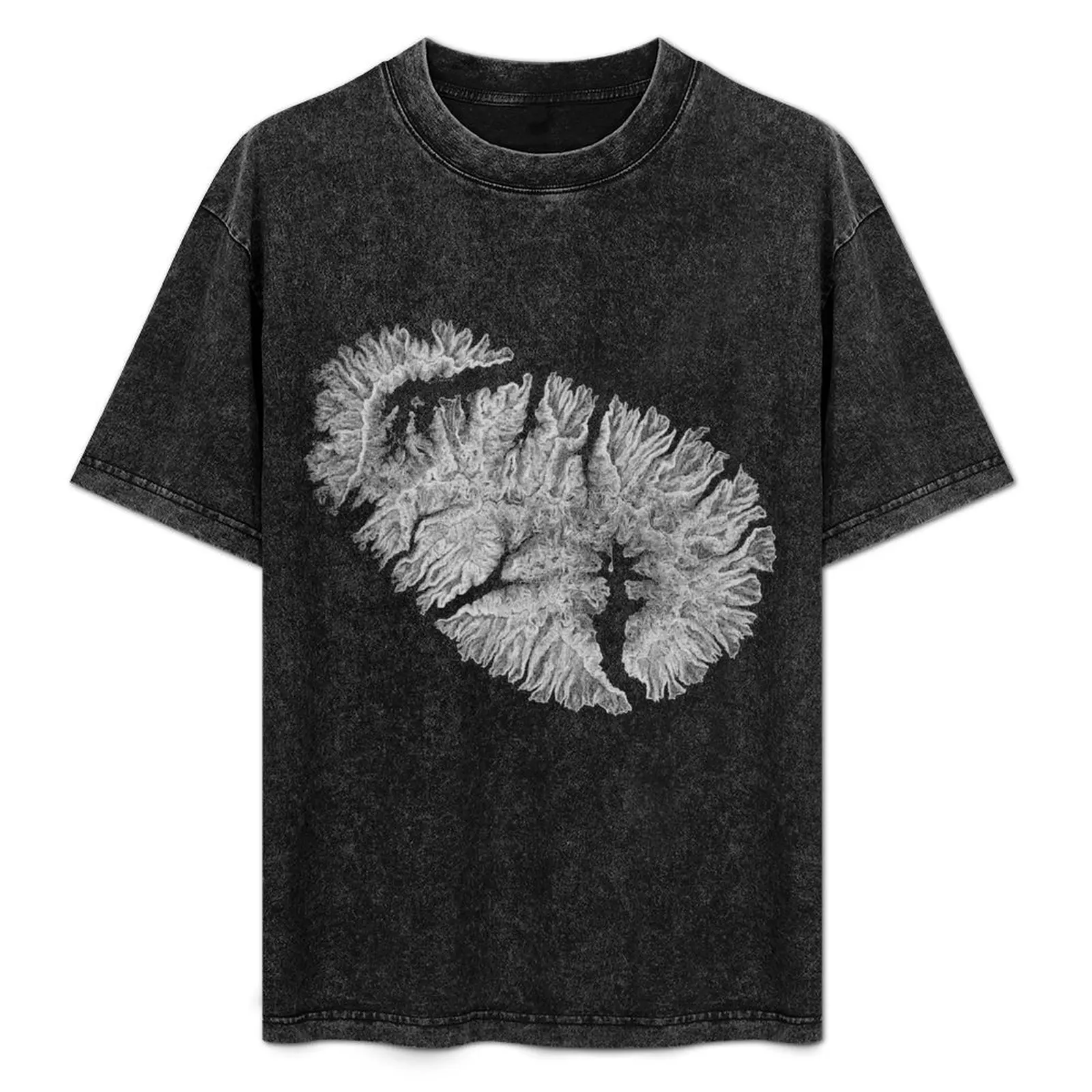 Banks Peninsula, South Island, New Zealand - Light T-Shirt Casual Loose Fit Short Sleeve T-Shirt
Banks Peninsula, South Island, New Zealand - Light T-Shirt Casual Loose Fit Short Sleeve T-Shirt