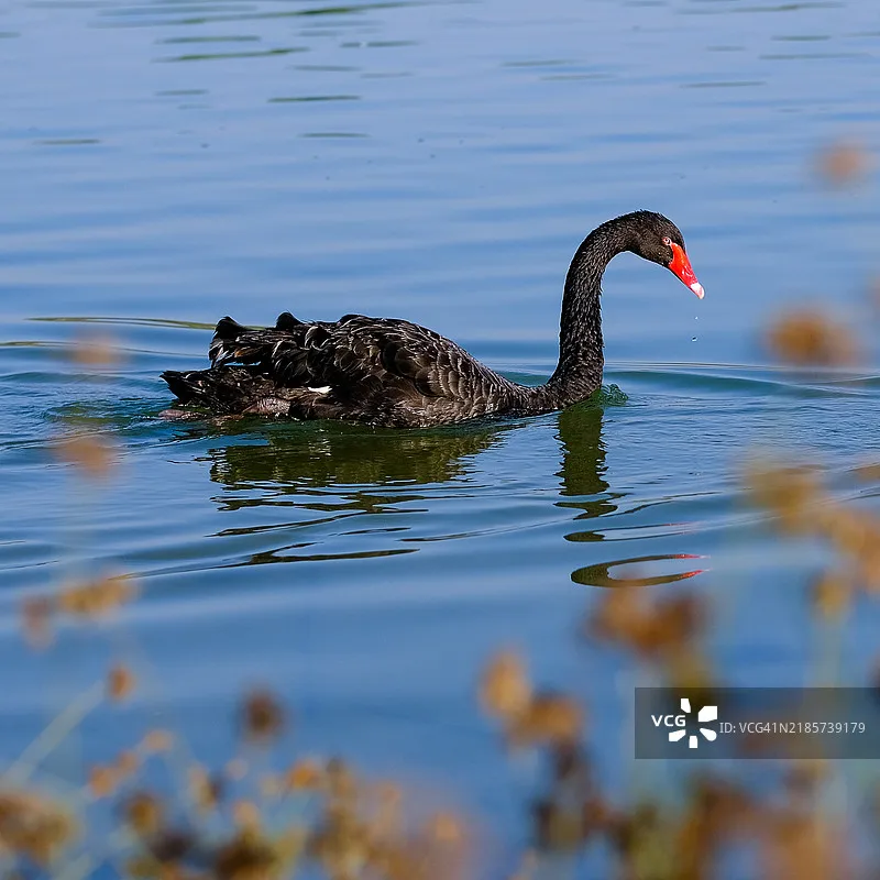 Бесколлекторный двигатель HOBBYWING QUICRUN Fusion Mini16 30A 3000KV с датчиками, водонепроницаемый, с регулятором скорости (ESC) 2-в-1 для радиоуправляемых машин 1/16 и 1/18, краулеров
Бесколлекторный двигатель HOBBYWING QUICRUN Fusion Mini16 30A 3000KV с датчиками, водонепроницаемый, с регулятором скорости (ESC) 2-в-1 для радиоуправляемых машин 1/16 и 1/18, краулеров