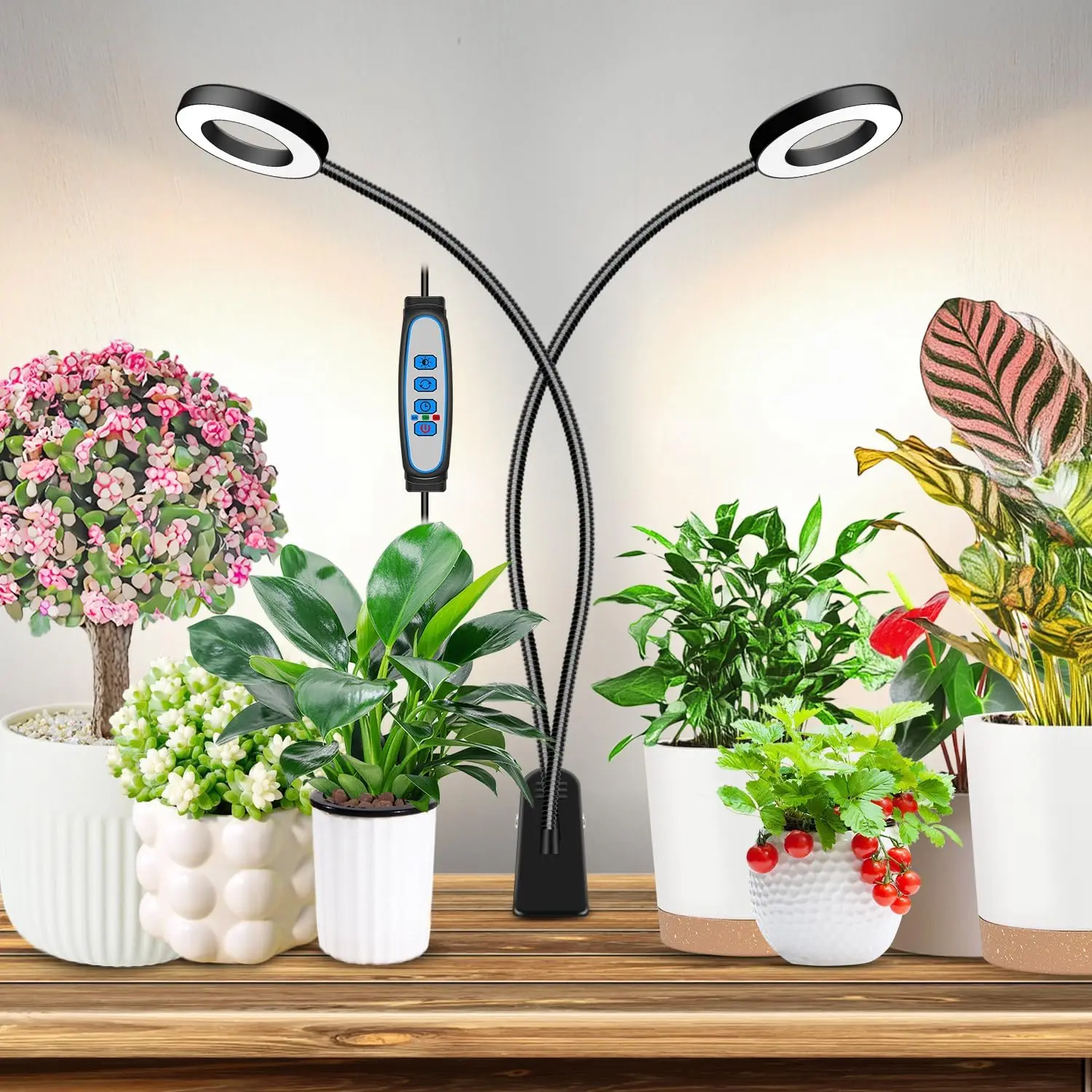 Halo LED Grow Light with Clip, 96 LEDs Full Spectrum, 3 Modes 5 Dimmable, Auto Timer 6/12/16H
Halo LED Grow Light with Clip, 96 LEDs Full Spectrum, 3 Modes 5 Dimmable, Auto Timer 6/12/16H