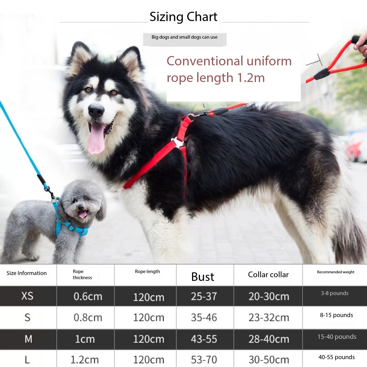 Three-piece set of pet dog leash for small and medium-sized puppies Teddy dog leash dog chain adjustable vest-style harness fo
Three-piece set of pet dog leash for small and medium-sized puppies Teddy dog leash dog chain adjustable vest-style harness fo