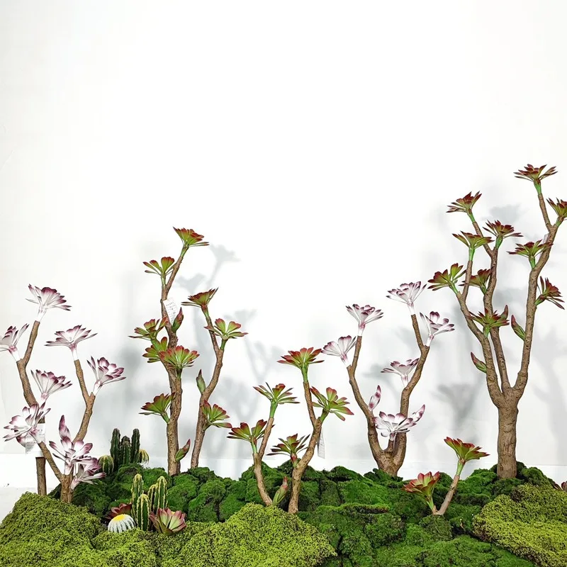 Simulation plant stone lotus potted succulent green plant hotel homestay living room decoration window landscaping ornament fake
Simulation plant stone lotus potted succulent green plant hotel homestay living room decoration window landscaping ornament fake