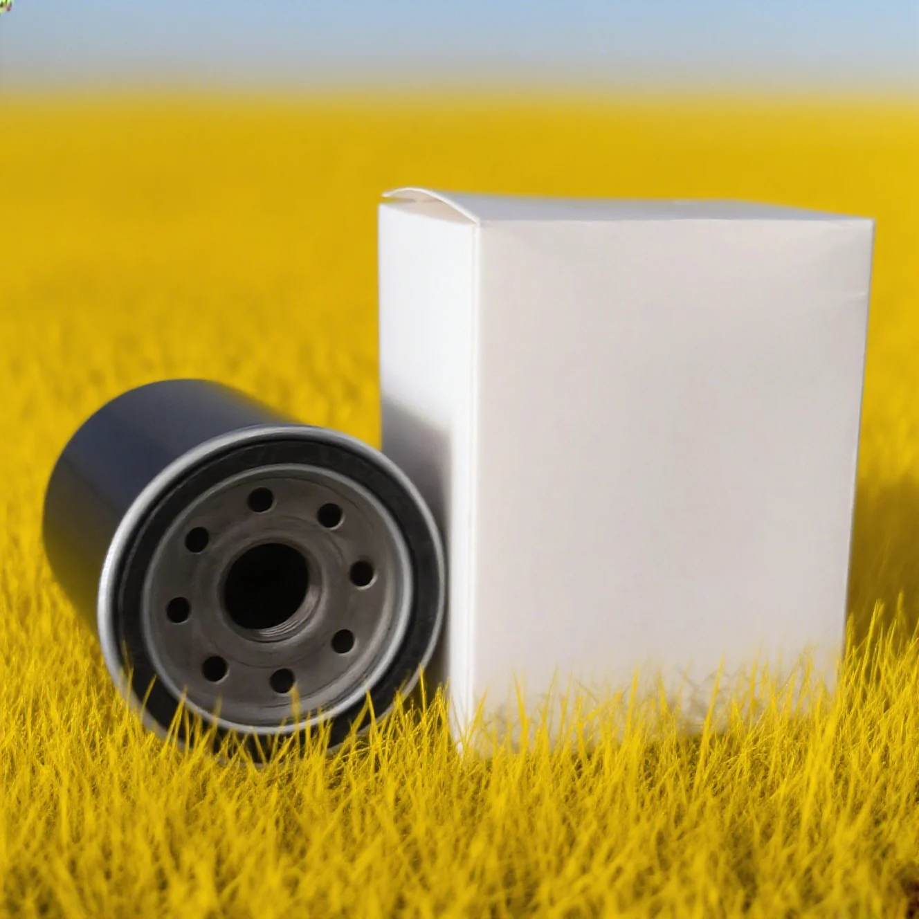 Oil Filter For Victory Cross Country Cory Ness Zach Ness Tour 15th Anniversary LE Hammer 8-Ball S / Cross Roads Classic / Gunner
Oil Filter For Victory Cross Country Cory Ness Zach Ness Tour 15th Anniversary LE Hammer 8-Ball S / Cross Roads Classic / Gunner