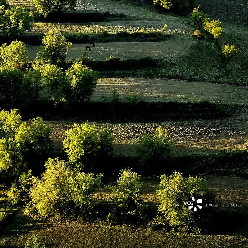 GEPRC TAKER F405 BLS 50A Stack 42688-P Гироскоп 16 МБ Черный ящик Анализ данных Запись полета Дані Plug and Play Racing FPV Drone
GEPRC TAKER F405 BLS 50A Stack 42688-P Гироскоп 16 МБ Черный ящик Анализ данных Запись полета Дані Plug and Play Racing FPV Drone