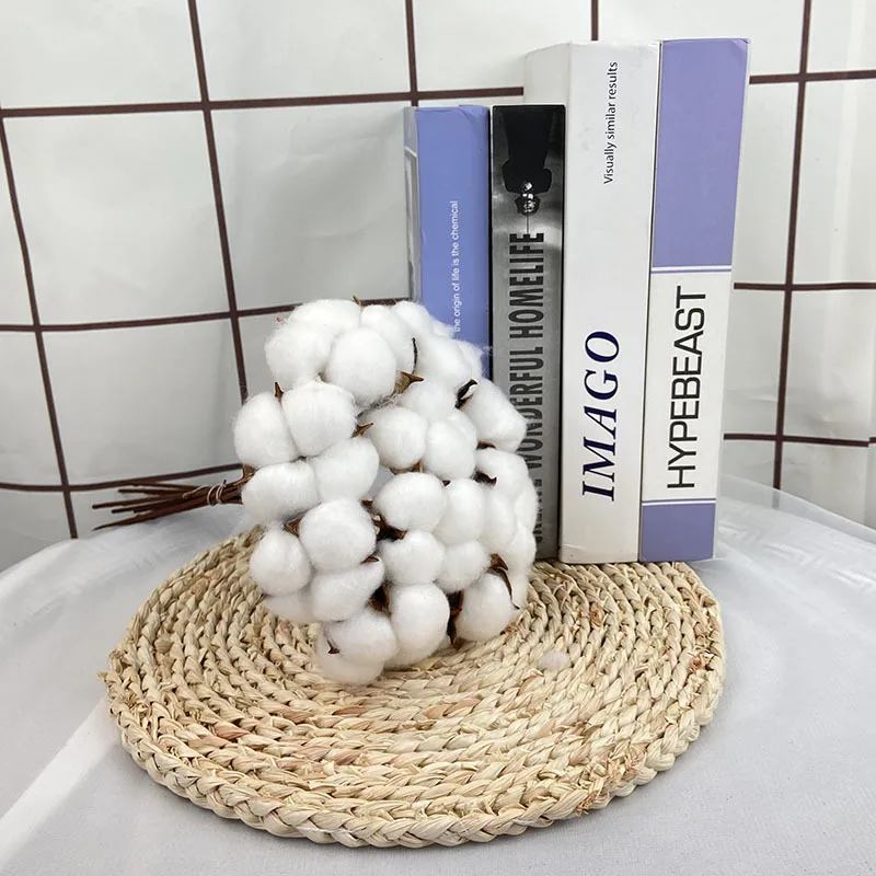 Simulation Natural Cotton INS Home Farmhouse Decoration Photograph Props Handmade Flore Table Display Artificial Flower
Simulation Natural Cotton INS Home Farmhouse Decoration Photograph Props Handmade Flore Table Display Artificial Flower