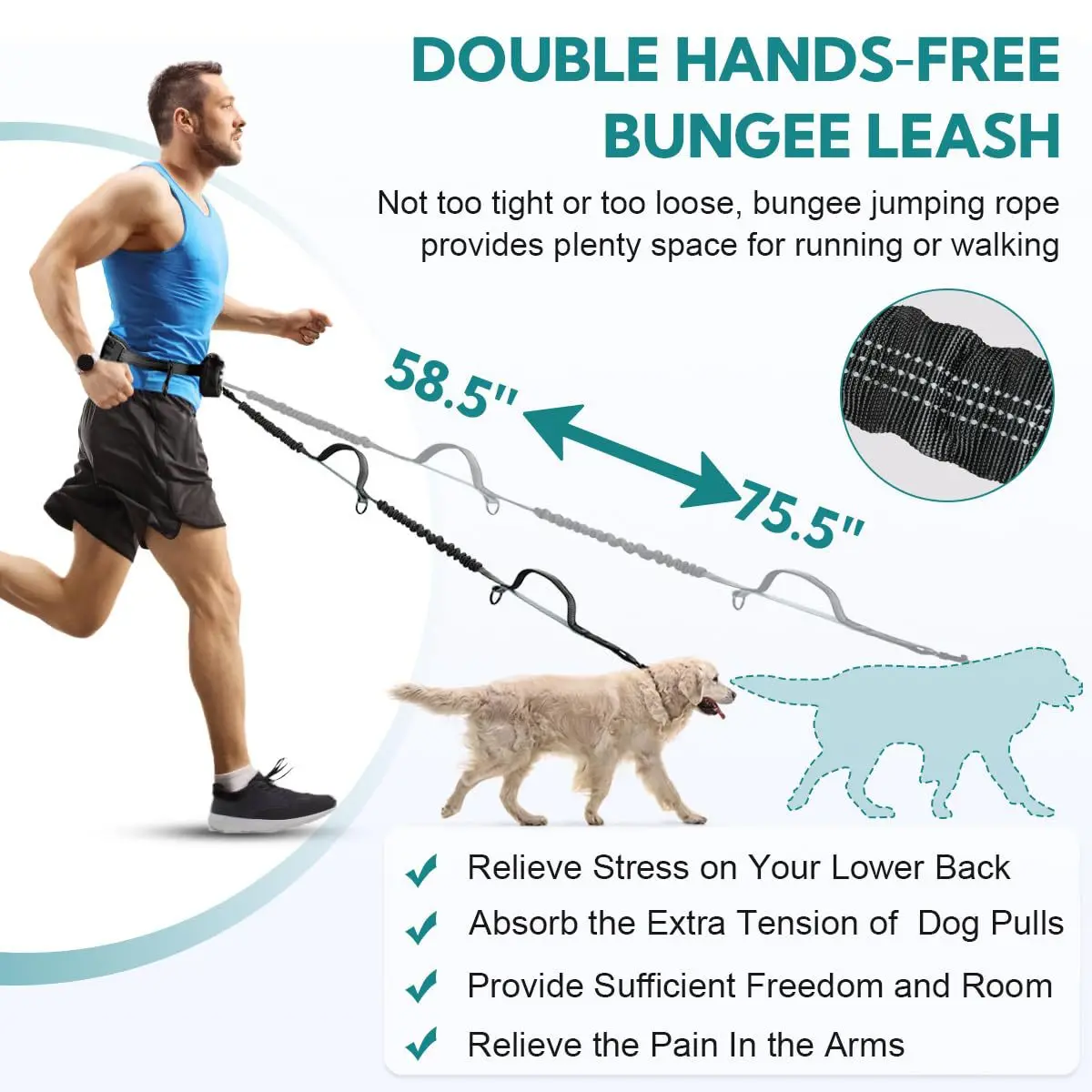 Hands-free leash with portable pocket _ two dog double leash _ retractable elastic double padded hand double dog leash
Hands-free leash with portable pocket _ two dog double leash _ retractable elastic double padded hand double dog leash