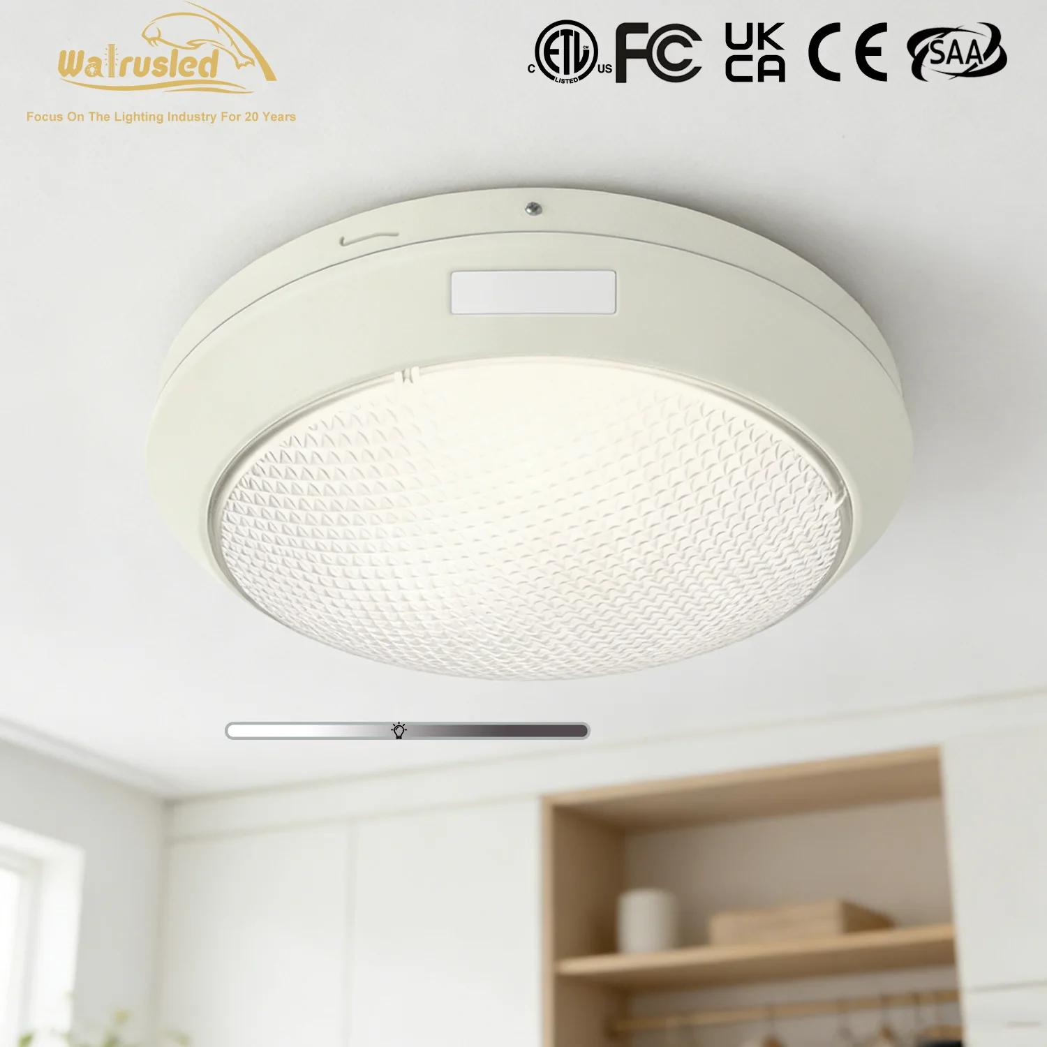 12-дюймовый светодиодный потолочный светильник для навесов, IP65, 5000K, 30W, 3750лм, водонепроницаемый уличный светильник, с регулировкой яркости 0-10В для навесов для автомобилей, ETL
12-дюймовый светодиодный потолочный светильник для навесов, IP65, 5000K, 30W, 3750лм, водонепроницаемый уличный светильник, с регулировкой яркости 0-10В для навесов для автомобилей, ETL