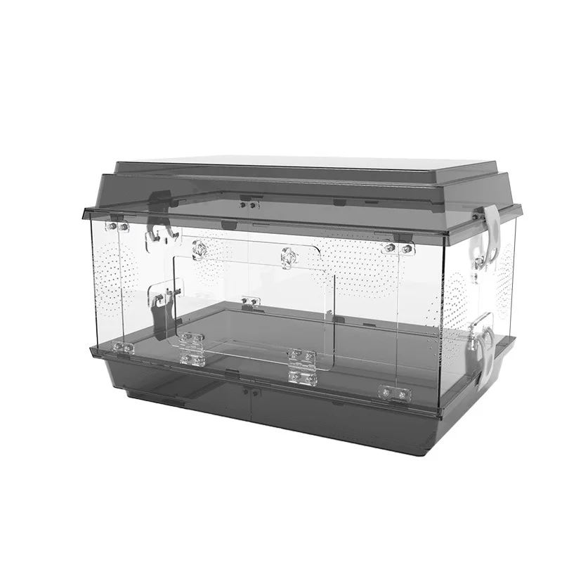 Specialized Eco-Friendly Reusable Acrylic Rectangle Modern Cages Snakes Reptiles Display Tanks Pet Habitats
Specialized Eco-Friendly Reusable Acrylic Rectangle Modern Cages Snakes Reptiles Display Tanks Pet Habitats