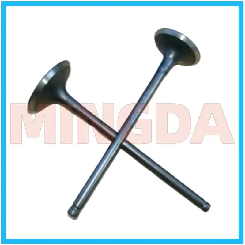 Intake and Exhaust Valves for Lifan Lf125-n Chain/ Cb Machine
Intake and Exhaust Valves for Lifan Lf125-n Chain/ Cb Machine