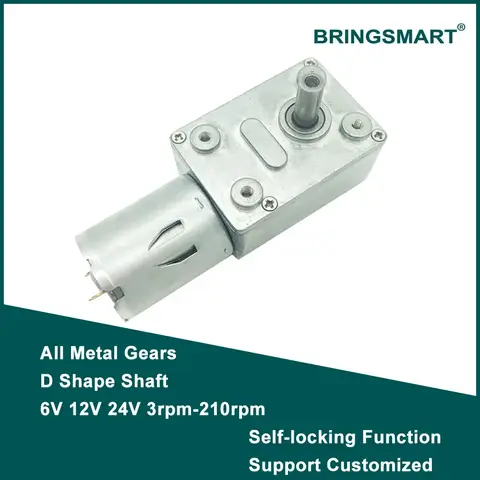 Bringsmart JGY-370 Worm Gear Motor 6v High Torque 12V DC Motor Low Speed 12 Volt Reducer Micro Self-lock Electric Motor