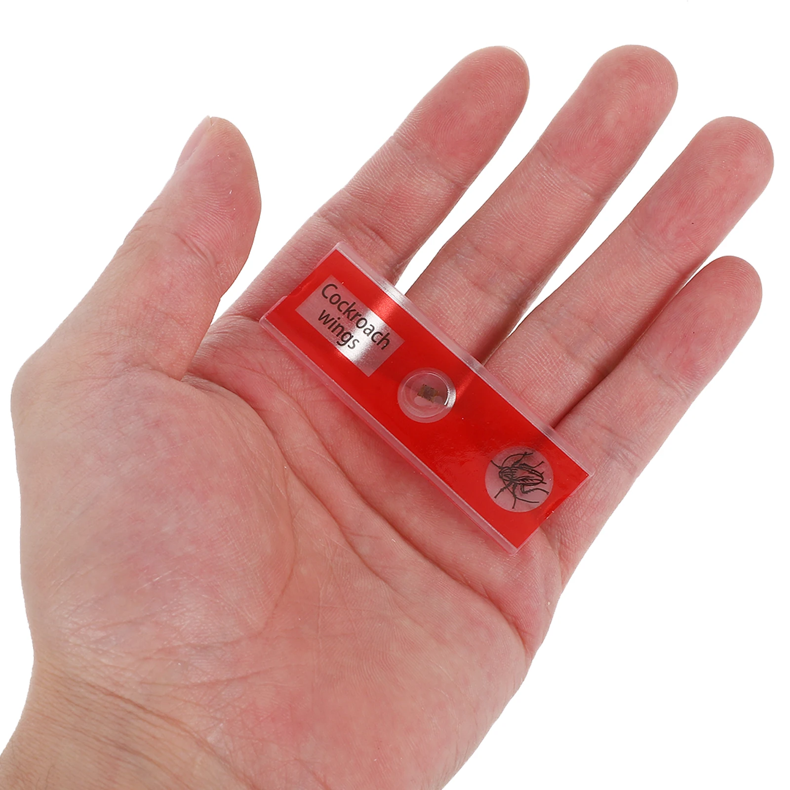 24Pcs Educational Microscope Slides for Kids Science Experiment Biological Specimen Set Plants Animals Flowers Sample Slides
24Pcs Educational Microscope Slides for Kids Science Experiment Biological Specimen Set Plants Animals Flowers Sample Slides