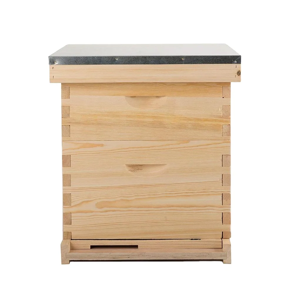 Benefitbee Wooden Dadant Beehive 10 Frames Beekeeping Tools Dadant Bee Hive Equipment
Benefitbee Wooden Dadant Beehive 10 Frames Beekeeping Tools Dadant Bee Hive Equipment