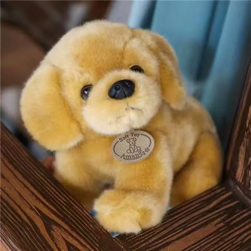 Cute Golden Retriever And White Dog Plush Toy Soft Fluffy Stuffed Puppy Doll With Tag Kawaii Pillow For Birthday Gift Home Decor
Cute Golden Retriever And White Dog Plush Toy Soft Fluffy Stuffed Puppy Doll With Tag Kawaii Pillow For Birthday Gift Home Decor