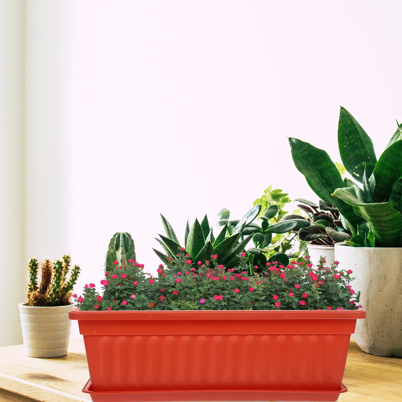 2 Pcs Planting Pot Garden Containers Planter with Tray Rectangular Flower Saucers for Plants Vegetables Pots Indoor
2 Pcs Planting Pot Garden Containers Planter with Tray Rectangular Flower Saucers for Plants Vegetables Pots Indoor
