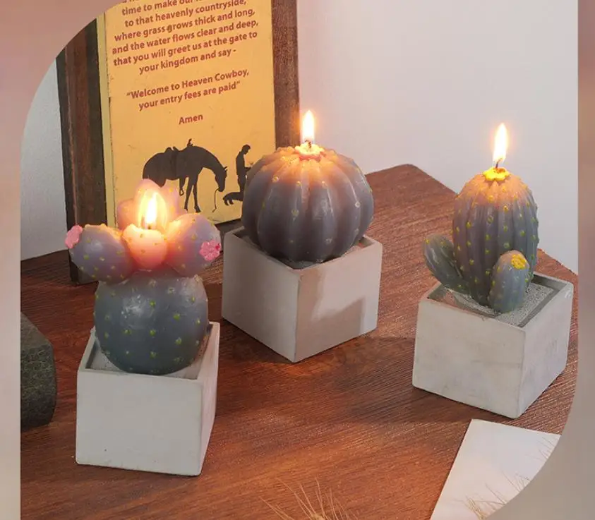 9L1YNT46Z9 Simulation Succulent Plant Candle Set
9L1YNT46Z9 Simulation Succulent Plant Candle Set