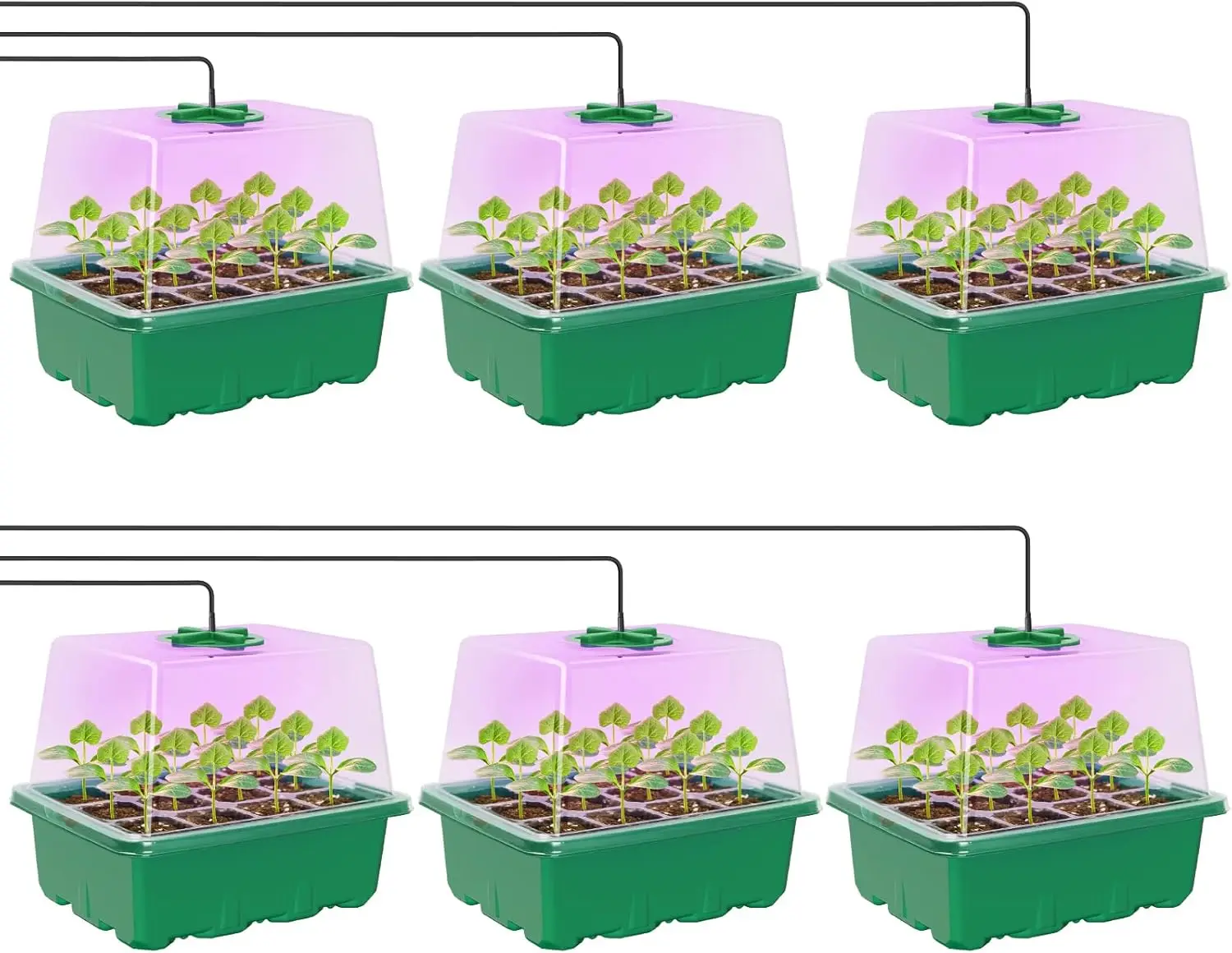 Seed Starter Kit with Grow Light, Elevated Seedling Tray with Adjustable Humidity Dome, 12 Full Spectrum LED Beads for Indoor Greenhouse, 6 Pack, Green
Seed Starter Kit with Grow Light, Elevated Seedling Tray with Adjustable Humidity Dome, 12 Full Spectrum LED Beads for Indoor Greenhouse, 6 Pack, Green