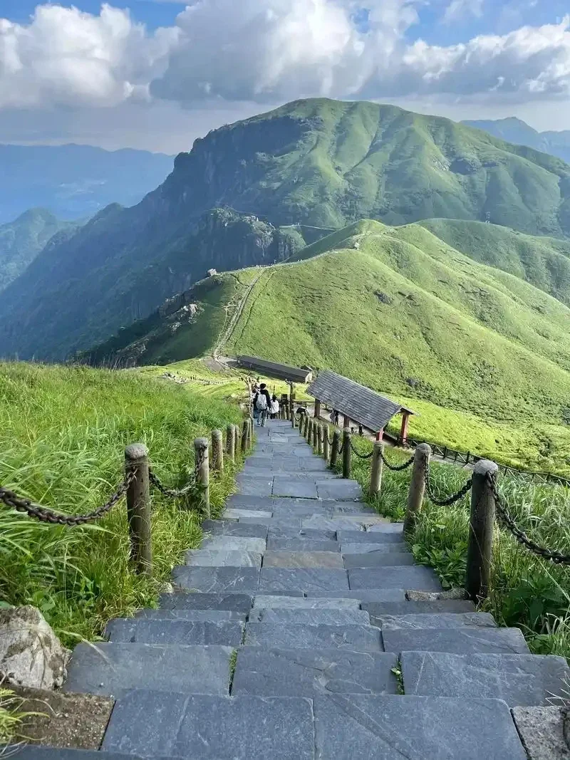 2 шт. карбоновые накладки на подрулевые лепестки переключения передач из ABS для Roewe 550 2008-2014, RX5 2016-2019, RX8 2018-2021
2 шт. карбоновые накладки на подрулевые лепестки переключения передач из ABS для Roewe 550 2008-2014, RX5 2016-2019, RX8 2018-2021