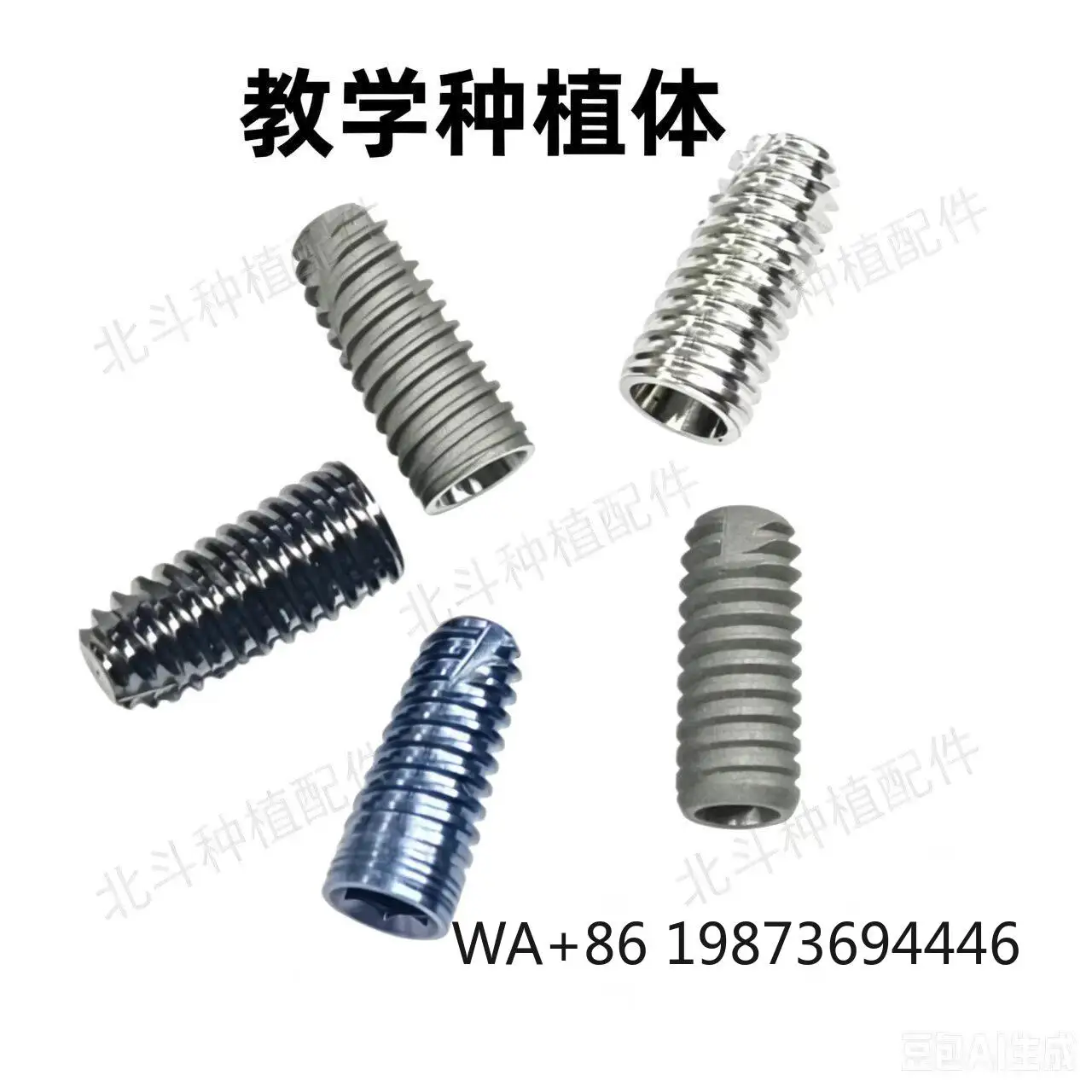 Titanium Alloy Simulation Implant Model, Practical Training Tool for Dental Teaching Operation
Titanium Alloy Simulation Implant Model, Practical Training Tool for Dental Teaching Operation
