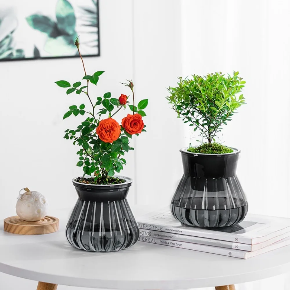 New Self Watering Hydroponic Plants Pot Plastic Removable Mini Succulent Planter Tabletop Vase Flowerpot
New Self Watering Hydroponic Plants Pot Plastic Removable Mini Succulent Planter Tabletop Vase Flowerpot