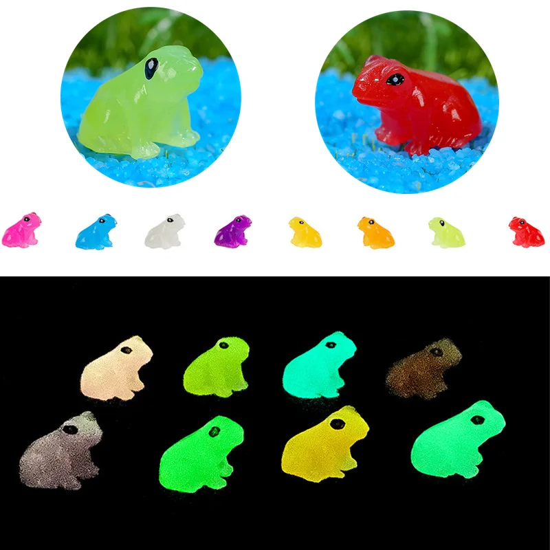 50PCS Miniature Poison Dart Frog Vivarium Accessories Luminous Mini Frog Fairy Garden Accessories Kawaii Home Decor Figurine
50PCS Miniature Poison Dart Frog Vivarium Accessories Luminous Mini Frog Fairy Garden Accessories Kawaii Home Decor Figurine