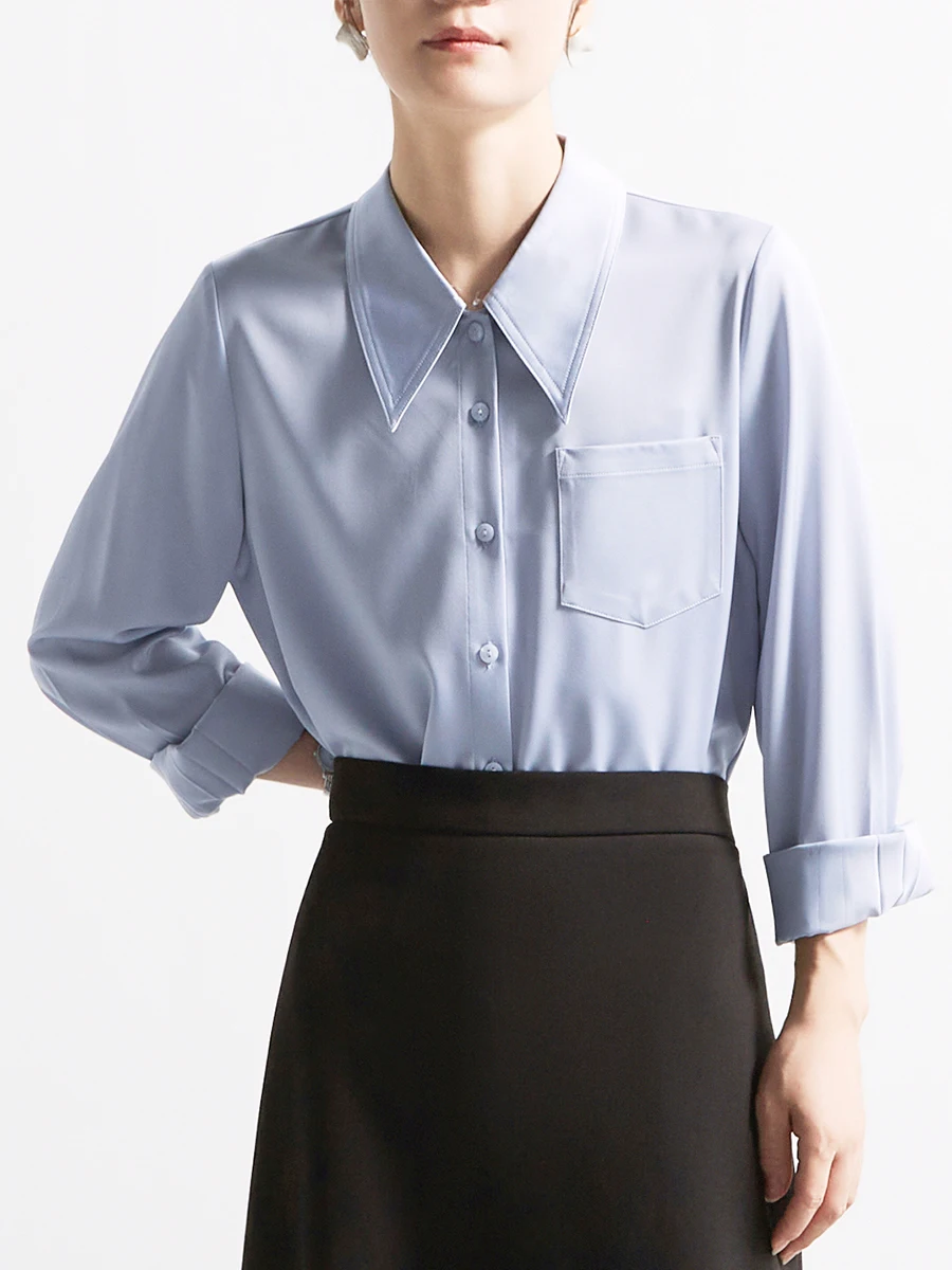 Blue Satin Drapey Long Sleeve Shirt Women's Chic Business OL Style Spring Autumn Interview Shirt Collar Formal Casual
Blue Satin Drapey Long Sleeve Shirt Women's Chic Business OL Style Spring Autumn Interview Shirt Collar Formal Casual