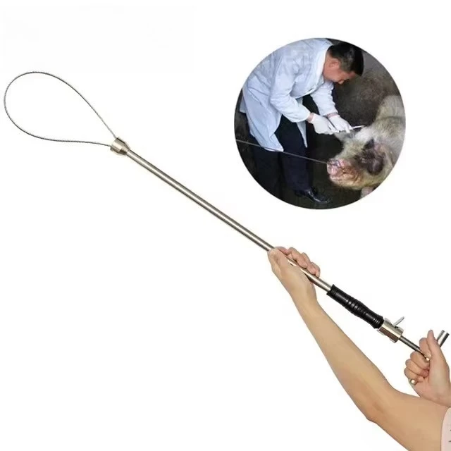 Hot Selling Stainless Steel Wire Catching Pig Lasso Baoding Pig Head Grab Pig Device
Hot Selling Stainless Steel Wire Catching Pig Lasso Baoding Pig Head Grab Pig Device