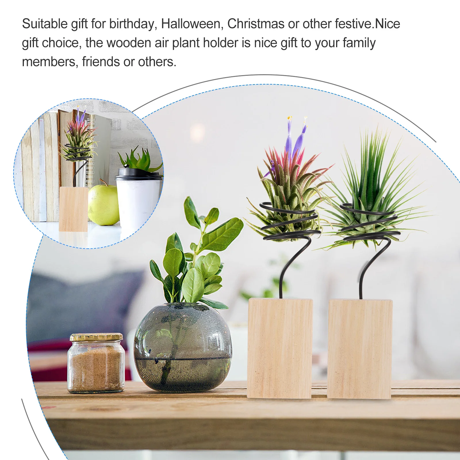 5Pcs Plant Stand Holder Tabletop Display Rack Planter Decorative for Home Office Gift Air Plant Stand
5Pcs Plant Stand Holder Tabletop Display Rack Planter Decorative for Home Office Gift Air Plant Stand