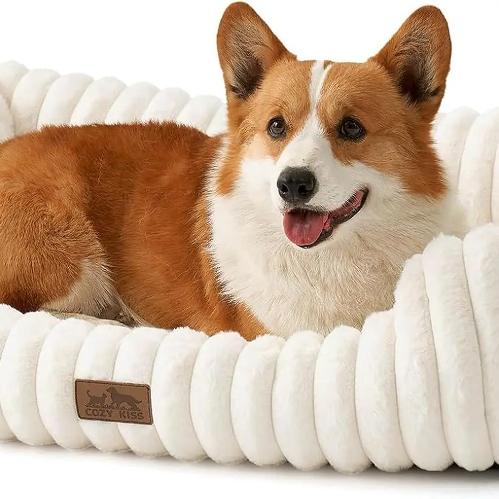 Medium & Large Dog Orthopedic Bed - Washable, Anti-Slip, Soft Pet Bed for Indoor Cats & Puppies (35x25x8, Cream)
Medium & Large Dog Orthopedic Bed - Washable, Anti-Slip, Soft Pet Bed for Indoor Cats & Puppies (35x25x8, Cream)
