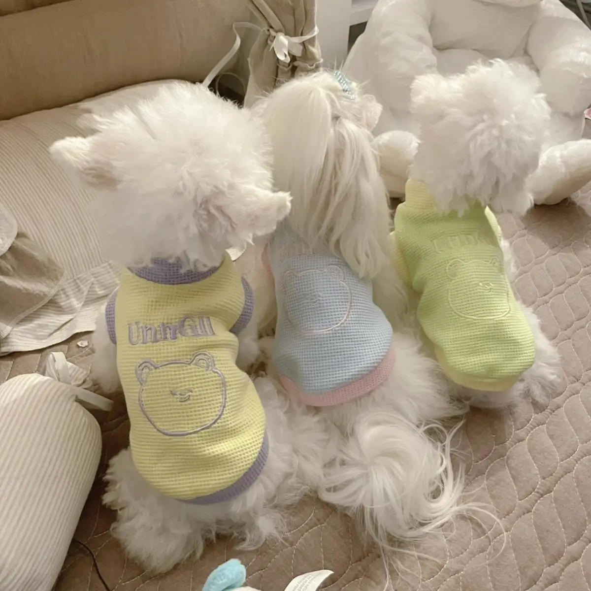 Dog Sweater Small Breed Clothes for Maltese Pomeranian Teddy Bichon Anti Shedding Thin All Seasons
Dog Sweater Small Breed Clothes for Maltese Pomeranian Teddy Bichon Anti Shedding Thin All Seasons