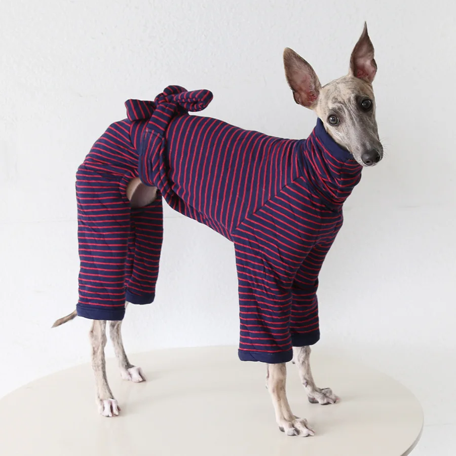 Mutihome 2026 Fashion Dog Belly And Corset Protection Paired With Italian Little Lingti Huibit Dog Jumpsuit Cute Top Pet Clothes
Mutihome 2026 Fashion Dog Belly And Corset Protection Paired With Italian Little Lingti Huibit Dog Jumpsuit Cute Top Pet Clothes