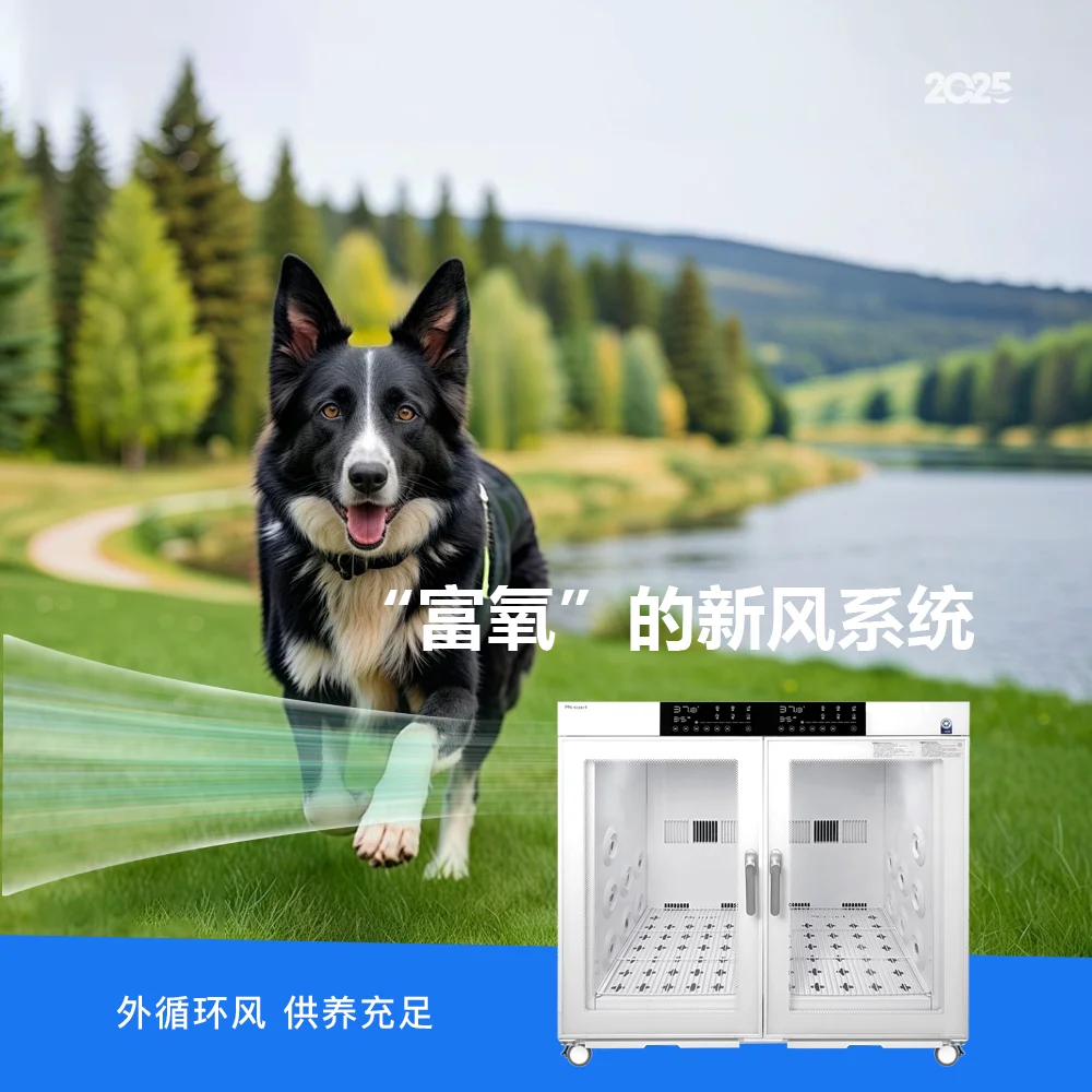 pet drying box medium and large dog commercial household cat dog bath hair dryer
pet drying box medium and large dog commercial household cat dog bath hair dryer