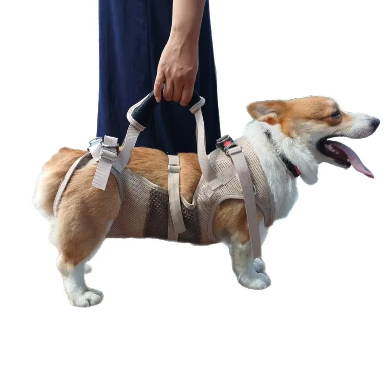 Pet Disability Scooter Walker Cart Adjustable Pet Injury Protection Wheelchair
Pet Disability Scooter Walker Cart Adjustable Pet Injury Protection Wheelchair