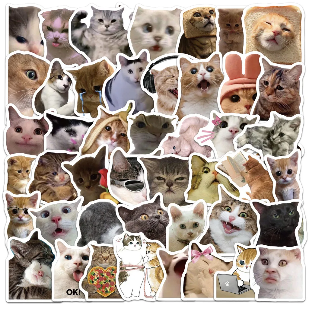 50Pcs Expression Cat Graffiti Waterproof Stickers Cat Face Decals For Water Bottle Phone Case Decor LanLanStickersWorld Store
50Pcs Expression Cat Graffiti Waterproof Stickers Cat Face Decals For Water Bottle Phone Case Decor LanLanStickersWorld Store