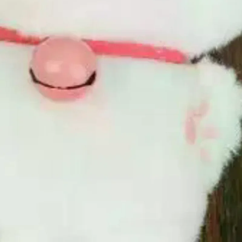 1Pcs White Siamese Kitten Stuffed Doll Backpack Decor Squeaky Bell Kitten Plush Keychain Pendant Schoolbag Ornament Gift
1Pcs White Siamese Kitten Stuffed Doll Backpack Decor Squeaky Bell Kitten Plush Keychain Pendant Schoolbag Ornament Gift