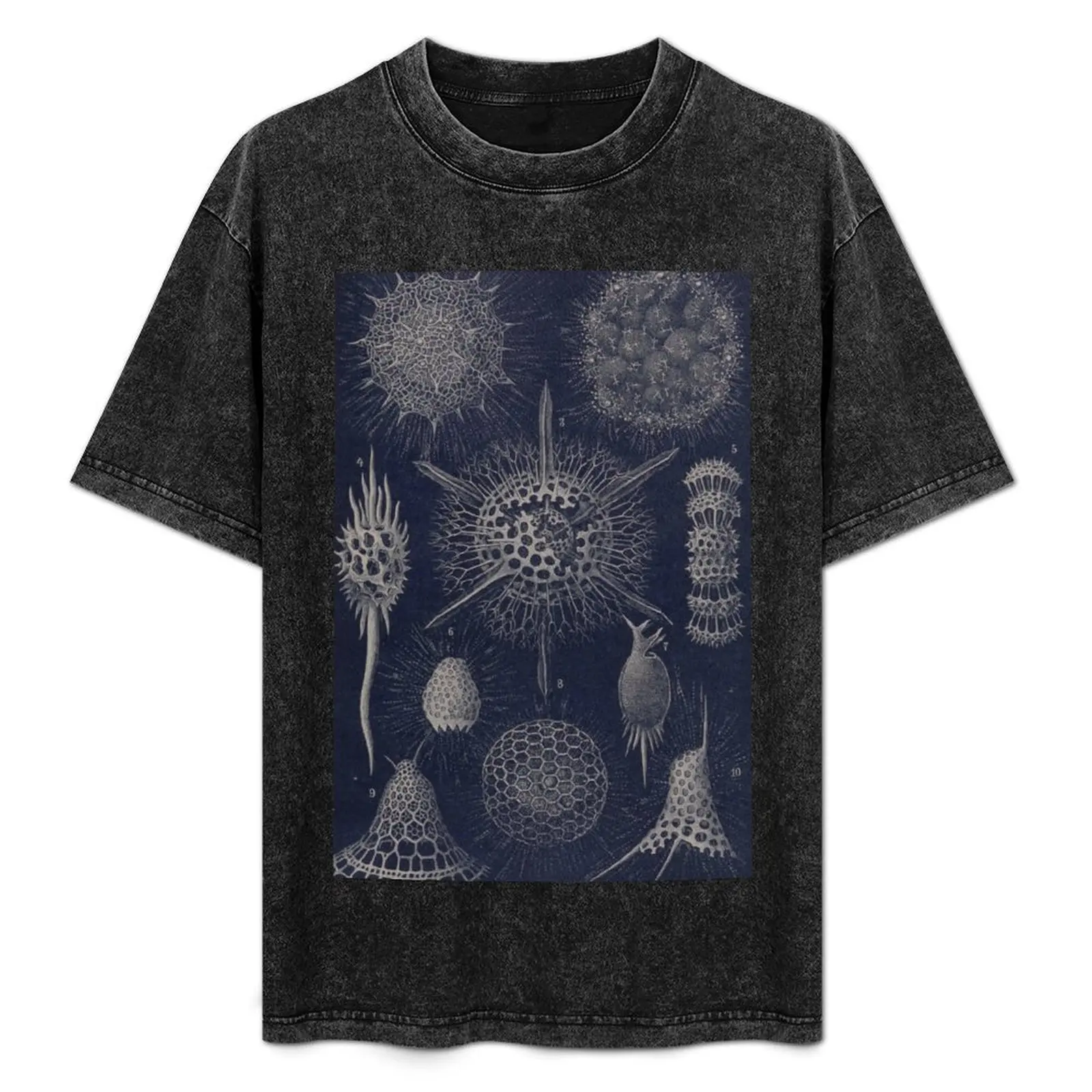 Vintage Radiolaria Fossils T-Shirt Anti-Perspiration Workout Top
Vintage Radiolaria Fossils T-Shirt Anti-Perspiration Workout Top