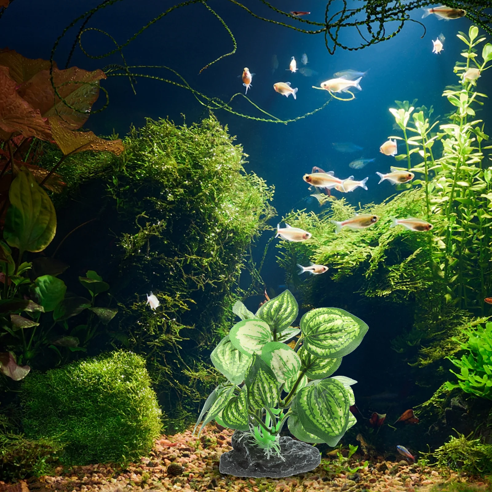 Artificial Plant Decoration Faux Aquarium Plants Realistic Fish Tank Accessories Safe Plastic Non Fading Decorations For
Artificial Plant Decoration Faux Aquarium Plants Realistic Fish Tank Accessories Safe Plastic Non Fading Decorations For