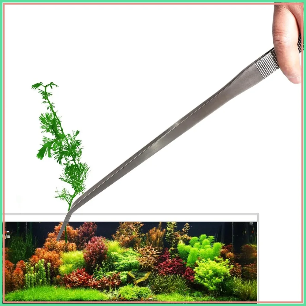 18.9" Heavy Duty Extra Long Tweezers for Aquarium, Curved SUS 304 Stainless Steel, Salt & Fresh Water Fish Tank, Terrarium Tool
18.9" Heavy Duty Extra Long Tweezers for Aquarium, Curved SUS 304 Stainless Steel, Salt & Fresh Water Fish Tank, Terrarium Tool