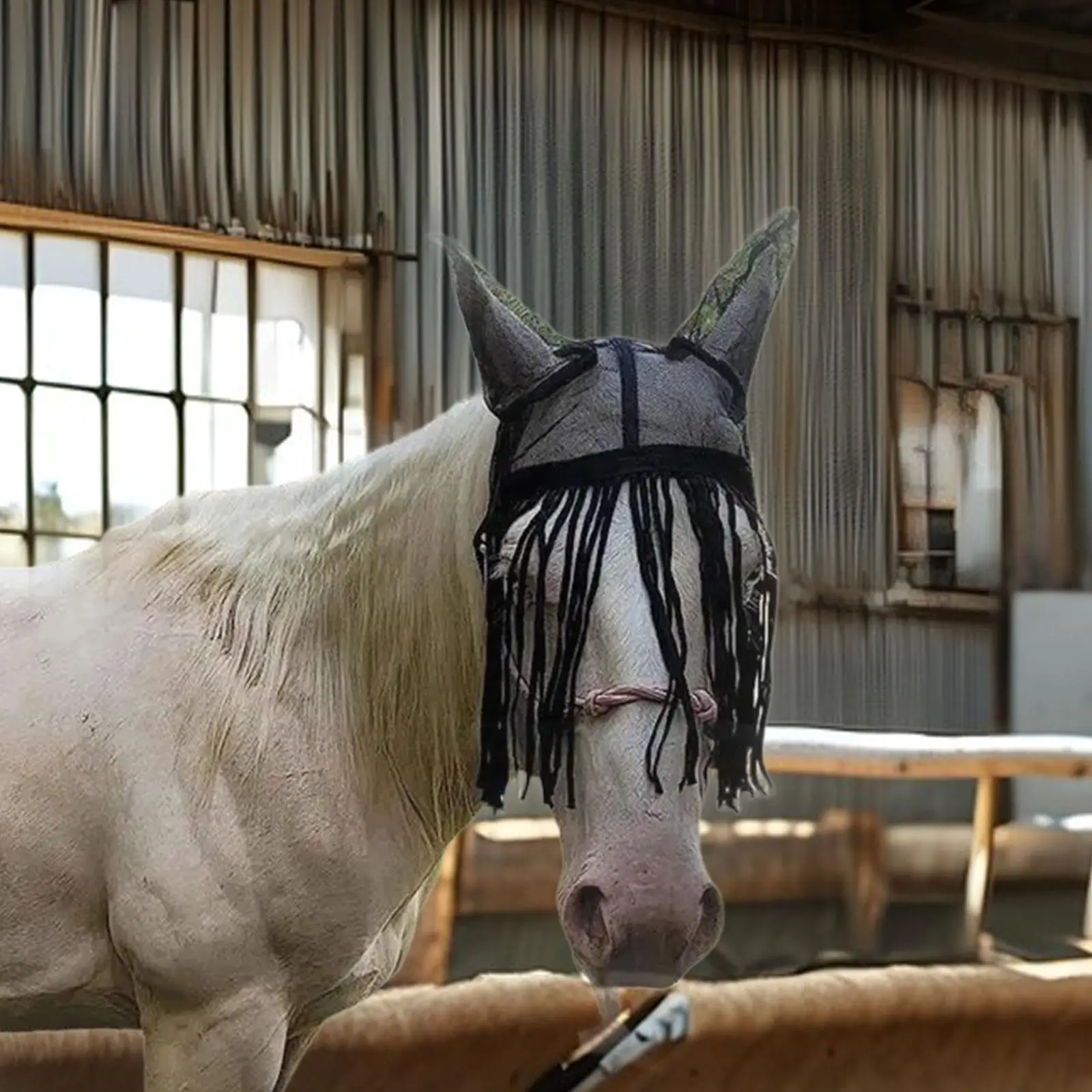 Horse Fly Cover Adjustable Tassels Mesh Mask Horses Flies Protection for Outdoor Equestrian Gear
Horse Fly Cover Adjustable Tassels Mesh Mask Horses Flies Protection for Outdoor Equestrian Gear