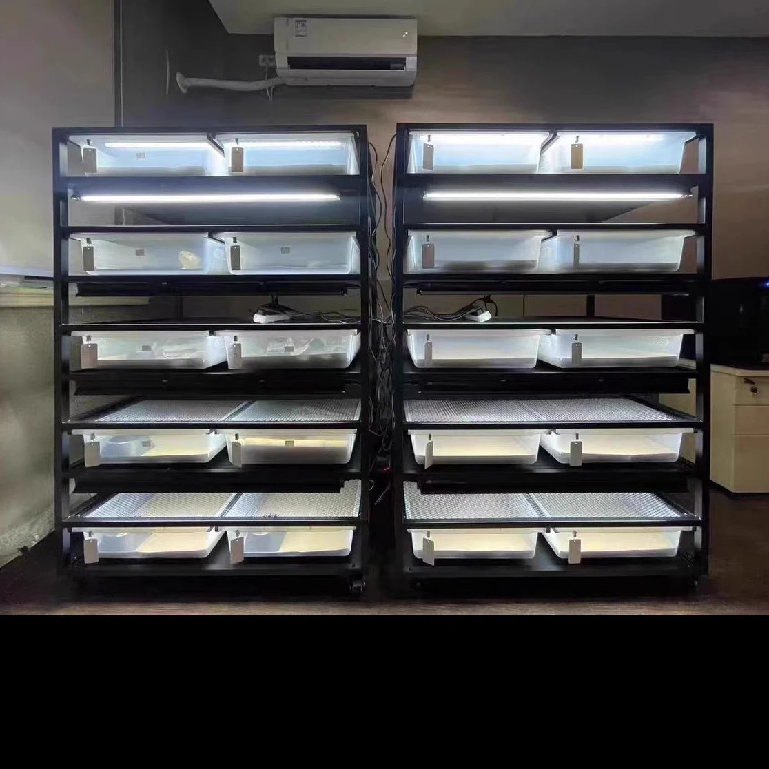 Deluxe Large Reptile Enclosure - 120 Gallon Glass Snake Terrarium Cage with Secure Lock, Breeding Rack & Natural Decor Display
Deluxe Large Reptile Enclosure - 120 Gallon Glass Snake Terrarium Cage with Secure Lock, Breeding Rack & Natural Decor Display