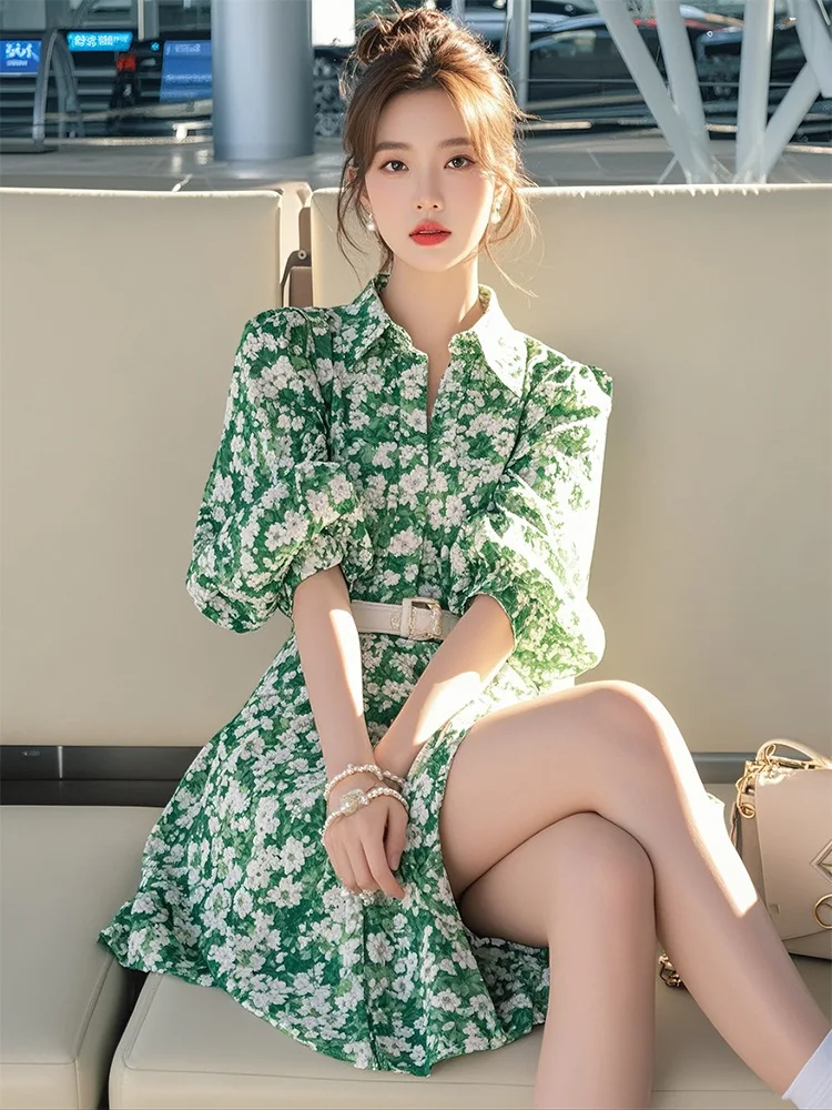 Spring 2025 Korean Age-reducing Western Style Green Floral Long-sleeved Shirt Dress Women's Dopamine Beautiful Skirt
Spring 2025 Korean Age-reducing Western Style Green Floral Long-sleeved Shirt Dress Women's Dopamine Beautiful Skirt