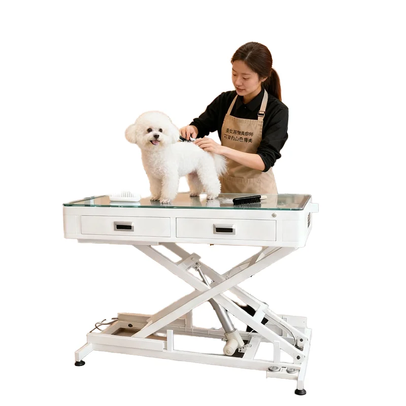 Electric Eco-Friendly Modern Dog Grooming Station Stainless Steel Beauty Table Charge Adjustable Height for Trimming Hair LED
Electric Eco-Friendly Modern Dog Grooming Station Stainless Steel Beauty Table Charge Adjustable Height for Trimming Hair LED