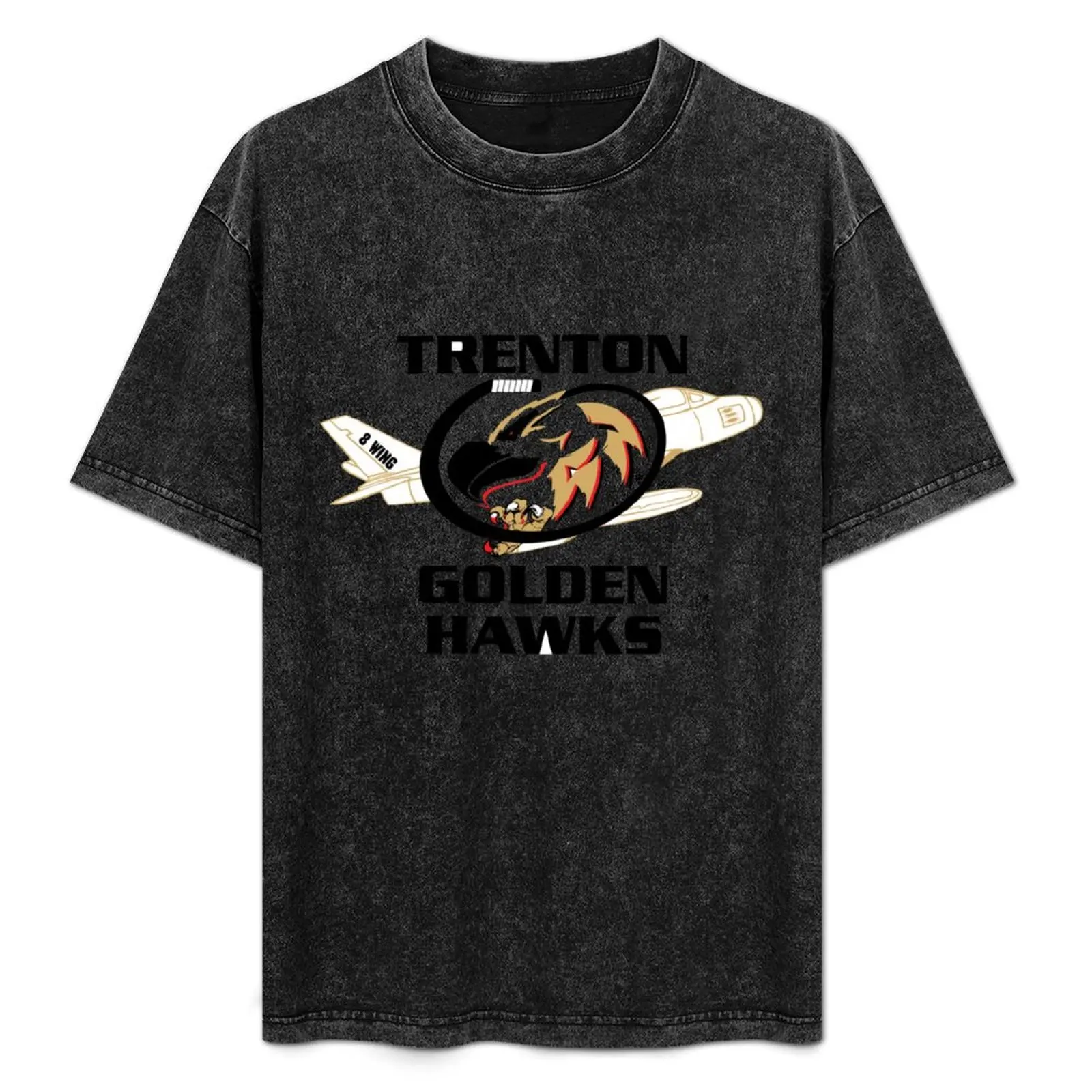 Trenton Golden Hawks T-Shirt Street Art Print Tee Shirt
Trenton Golden Hawks T-Shirt Street Art Print Tee Shirt