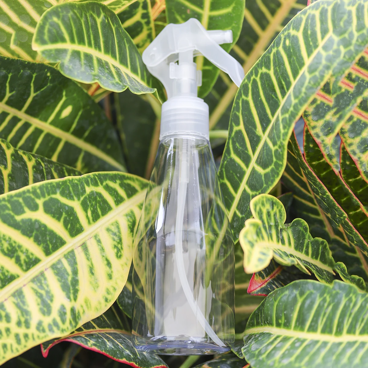 3 pcs Leak-Proof Spray Bottle Plastic Sprayer for Garden Plants Cleaning Pet Odor House Air Freshener Lightweight for Travel
3 pcs Leak-Proof Spray Bottle Plastic Sprayer for Garden Plants Cleaning Pet Odor House Air Freshener Lightweight for Travel