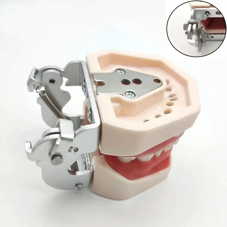 Removable Dental Dental Preparation Practice Model Technician Practice Removable Typical Dental Equipment
Removable Dental Dental Preparation Practice Model Technician Practice Removable Typical Dental Equipment