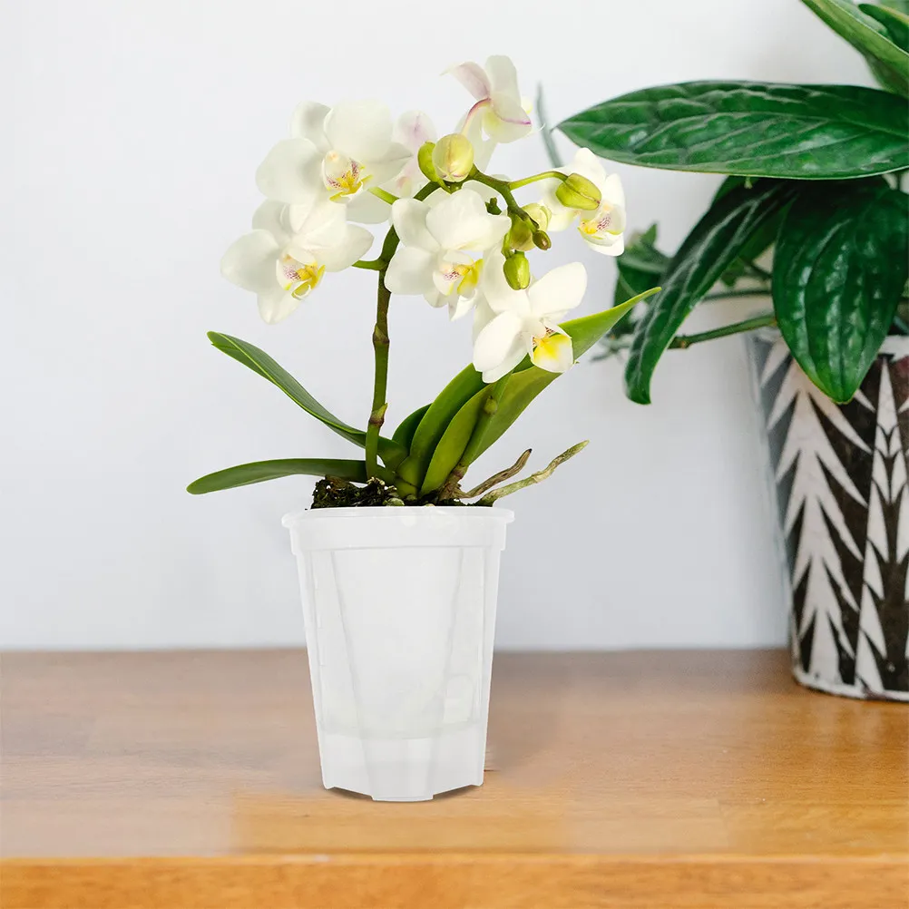 5Pcs Self Watering Planter Pot Plastic Modern Design Automatic Moisture Retention Flowerpot for Orchids Succulents Indoor Plants
5Pcs Self Watering Planter Pot Plastic Modern Design Automatic Moisture Retention Flowerpot for Orchids Succulents Indoor Plants