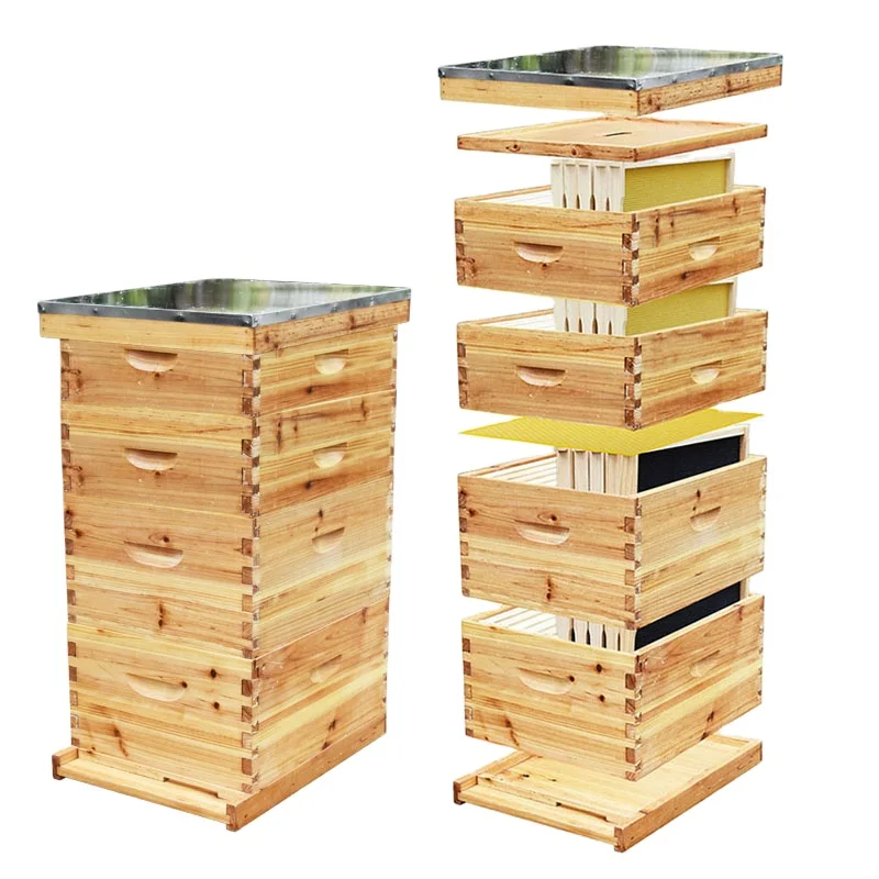 Beekeeping Supplies Four Layer Langstroth Beehive Kit 10 Frame Beeswax Coated Cedar Wood Complete Bee Hive for Apiary
Beekeeping Supplies Four Layer Langstroth Beehive Kit 10 Frame Beeswax Coated Cedar Wood Complete Bee Hive for Apiary