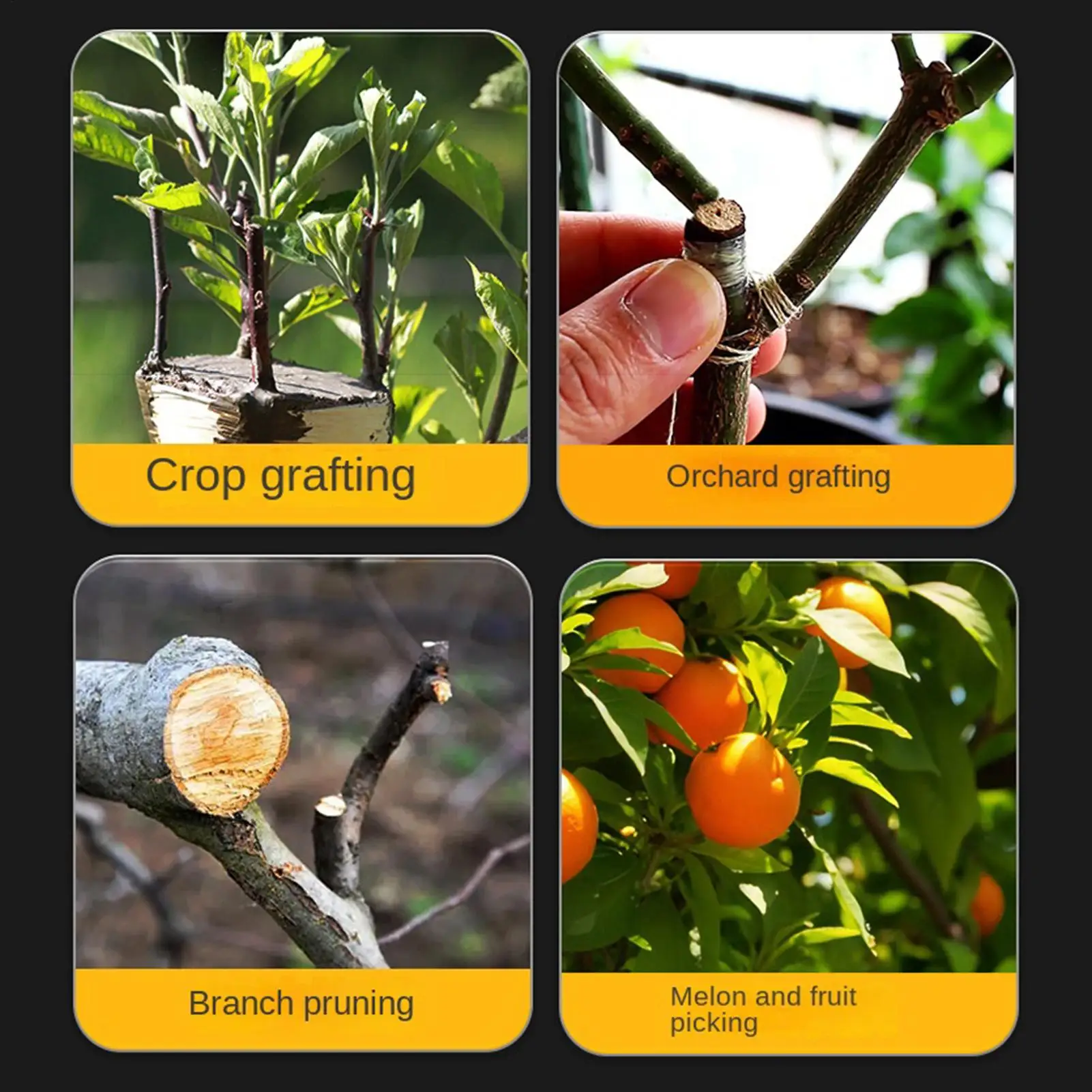Pruning Shears For Gardening Precise Heavy-Duty Tree Shears Gardening Tools For Grafting Home Courtyard Balcony Flowers Fruits
Pruning Shears For Gardening Precise Heavy-Duty Tree Shears Gardening Tools For Grafting Home Courtyard Balcony Flowers Fruits