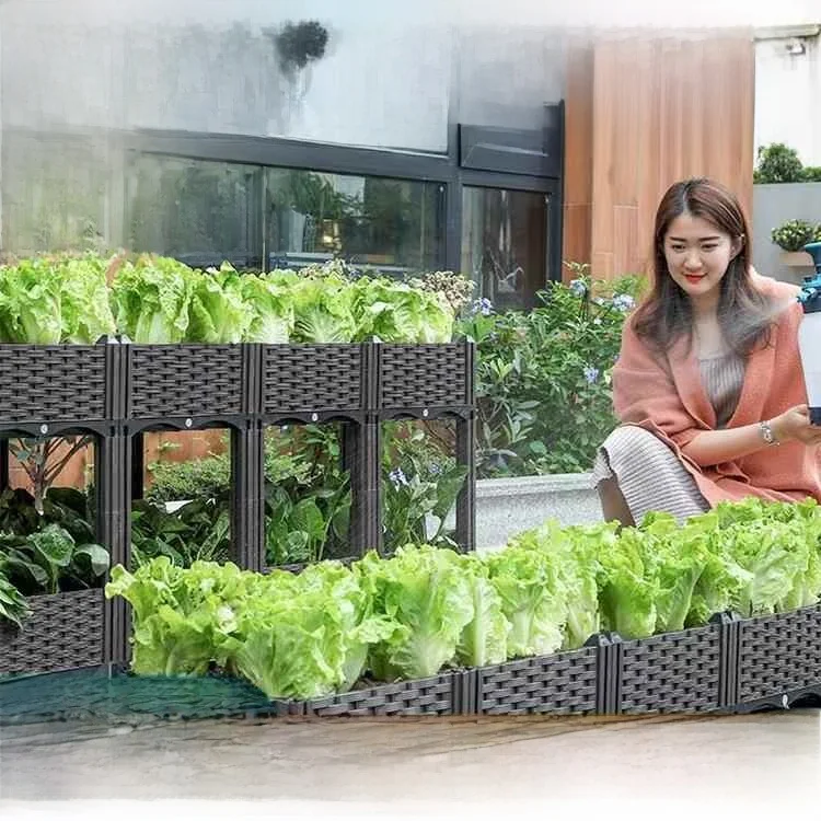 Outdoor Garden Vegetable Planting Box Simple Style Plastic Flower Pot Leek Growing Kit Lazy Person's Indoor Outdoor Decor
Outdoor Garden Vegetable Planting Box Simple Style Plastic Flower Pot Leek Growing Kit Lazy Person's Indoor Outdoor Decor