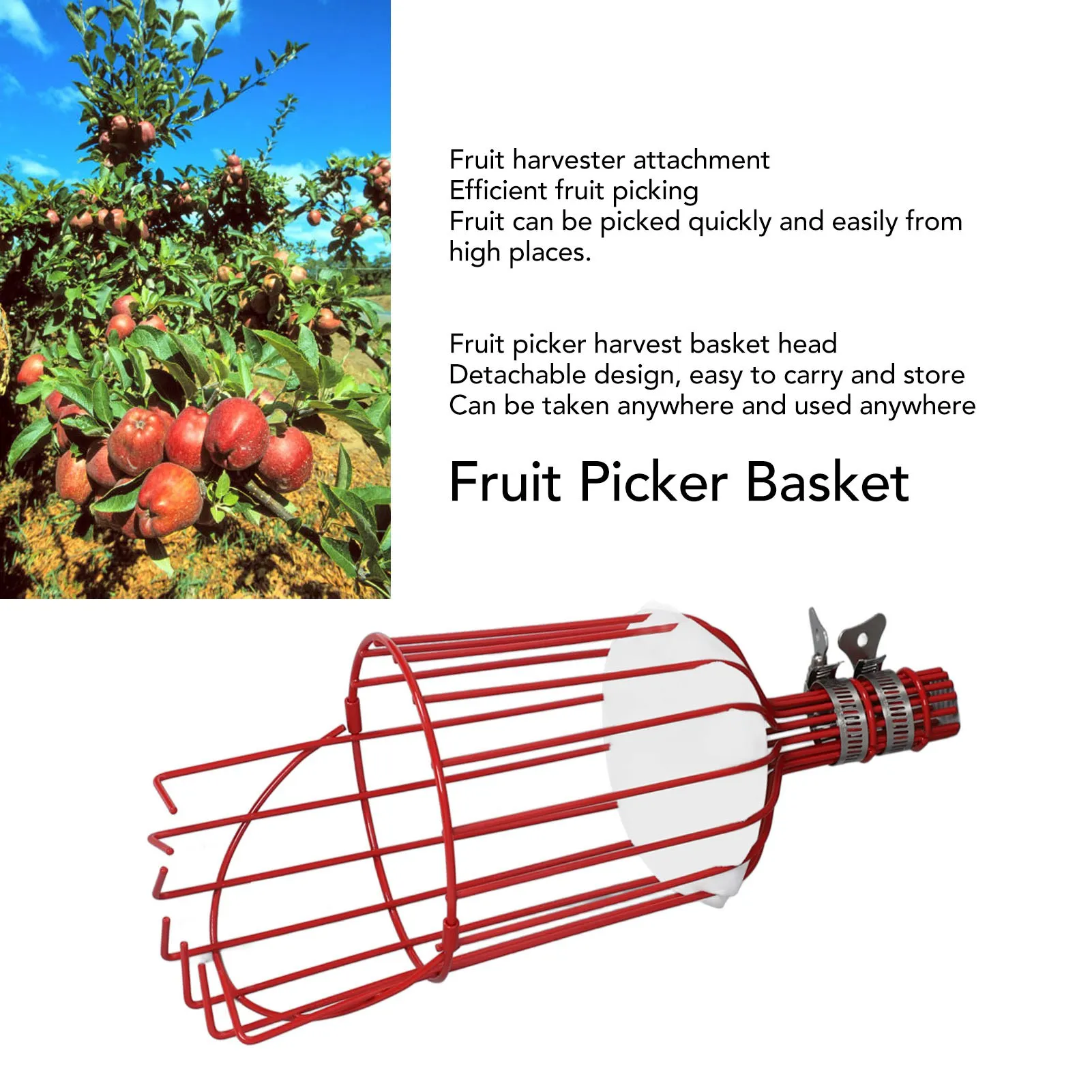 Fruit Harvesting Tool Fruit Picker Head Basket Efficient Prevent Rust Multifunctional Use Easy Picking for Mangoes for Oranges
Fruit Harvesting Tool Fruit Picker Head Basket Efficient Prevent Rust Multifunctional Use Easy Picking for Mangoes for Oranges